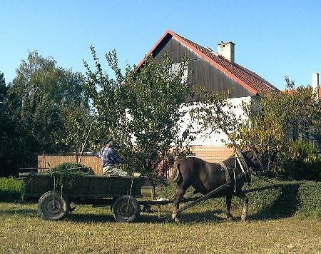 Platanus Bed and Breakfast Beckov Eksteriør billede