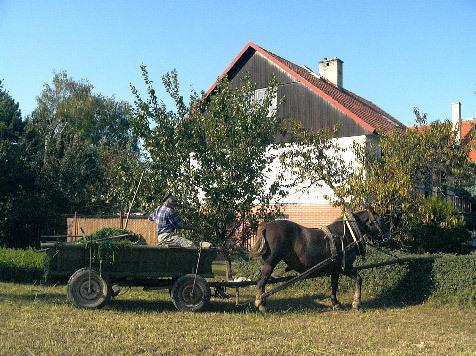 Platanus Bed and Breakfast Beckov Eksteriør billede